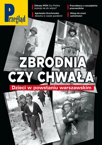 Przegląd nr 33/2021 Jerzy Domański - okladka książki