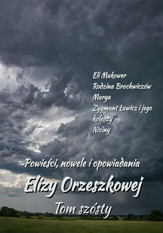 Powieści, nowele i opowiadania Elizy Orzeszkowej. Tom VI Eliza Orzeszkowa - okladka książki