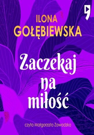 Zaczekaj na miłość Ilona Gołębiewska - okladka książki