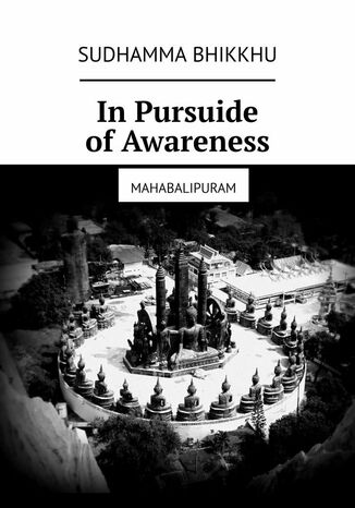 In Pursuide of Awareness Sudhamma Bhikkhu - okladka książki