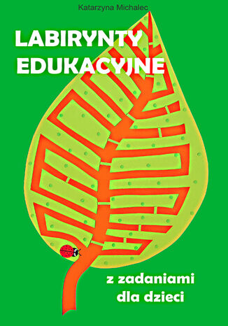 Labirynty edukacyjne z zadaniami dla dzieci Katarzyna Michalec - okladka książki