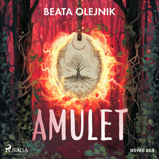 Amulet Beata Olejnik - okladka książki