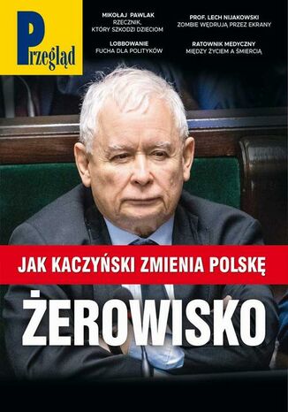 Przegląd. 16 Jerzy Domański, Paweł Dybicz, Robert Walenciak, Roman Kurkiewicz, Jakub Dymek, Marcin Ogdowski, Marek Czarkowski, Agnieszka Wolny, Wojciech Kuczok - okladka książki