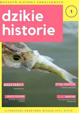 Dzikie Historie. Magazyn historii fabularnych. Nr 1 Srebrny Kompas - okladka książki