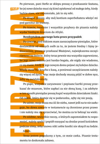 Rozdeptałem czarnego kota przez przypadek Zawada Filip - okladka książki