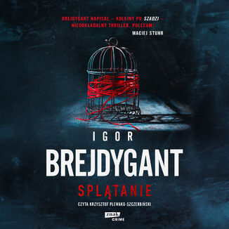 Splątanie Igor Brejdygant - audiobook MP3