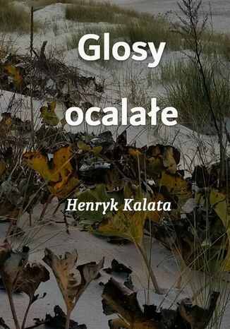 Glosy ocalałe Henryk Kalata - okladka książki