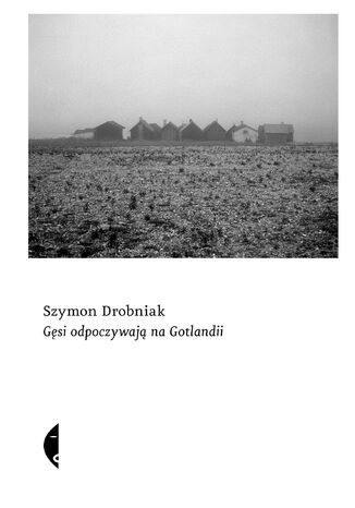 Gęsi odpoczywają na Gotlandii Szymon Drobniak - okladka książki