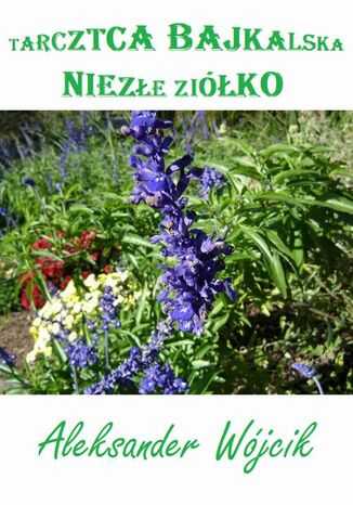 Tarczyca bajkalska - niezłe ziółko Aleksander Wójcik - okladka książki