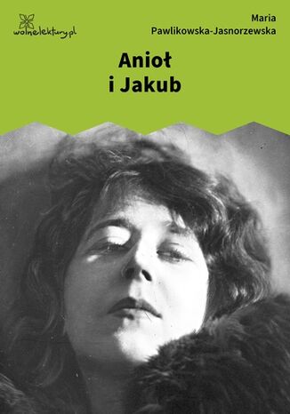Anioł i Jakub Maria Pawlikowska-Jasnorzewska - okladka książki