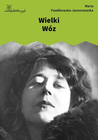 Wielki Wóz Maria Pawlikowska-Jasnorzewska - okladka książki