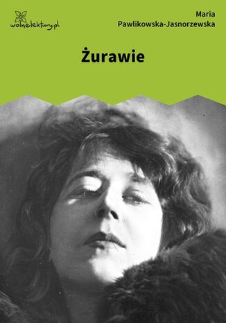 Żurawie Maria Pawlikowska-Jasnorzewska - okladka książki
