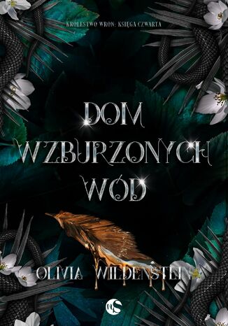 Dom wzburzonych wód Olivia Wildenstein - okladka książki
