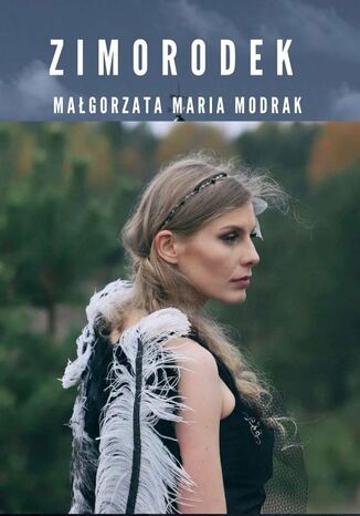 Zimorodek Małgorzata Modrak - okladka książki