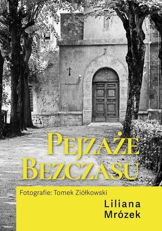 Pejzaże Bezczasu Liliana Mrózek - okladka książki