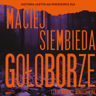 Gołoborze Maciej Siembieda - okladka książki