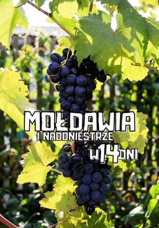 Mołdawia i Naddniestrze w 14 dni Jakub Strzelecki - okladka książki