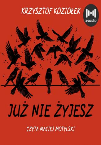 Już nie żyjesz Krzysztof Koziołek - okladka książki