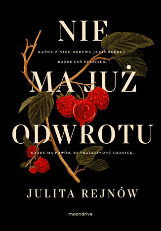 Nie ma już odwrotu Julita Rejnów - okladka książki