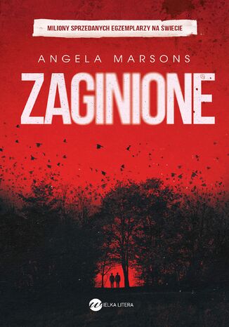 Zaginione Angela Marsons - okladka książki