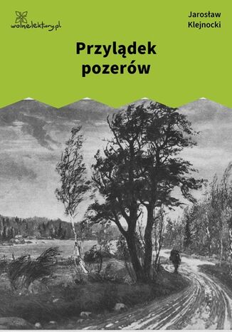 Przylądek pozerów Jarosław Klejnocki - okladka książki