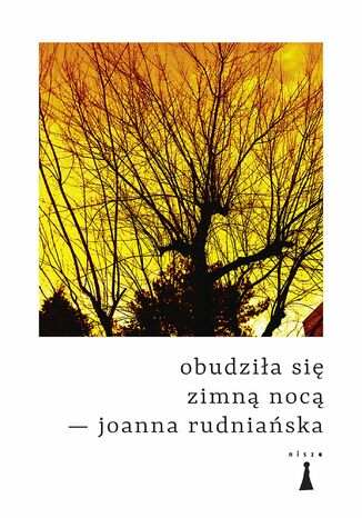 Obudziła się zimną nocą Joanna Rudniańska - okladka książki