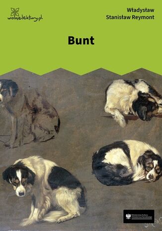Bunt Władysław Stanisław Reymont - okladka książki