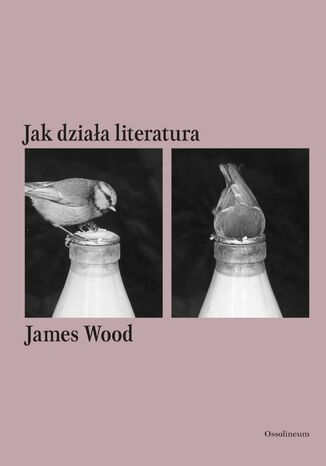 Jak działa literatura James Wood - okladka książki