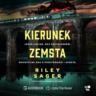 Kierunek zemsta Riley Sager - audiobook MP3