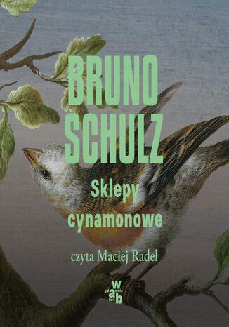 Sklepy cynamonowe Bruno Schulz - audiobook MP3