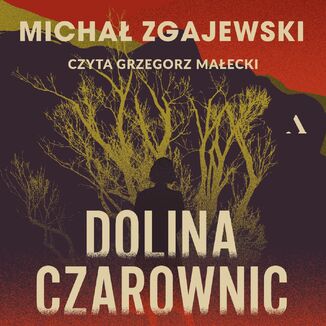 Dolina czarownic Michał Zgajewski - okladka książki