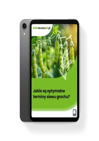 Jakie są optymalne terminy siewu grochu? Magdalena Świąder - okladka książki