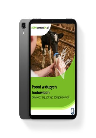 Poród w dużych hodowlach – dowiedz się, jak go zorganizować Joanna Cała - okladka książki