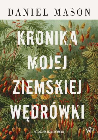 Kronika mojej ziemskiej wędrówki Daniel Mason - okladka książki