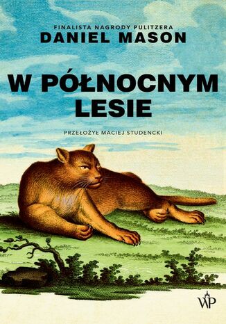 W północnym lesie Daniel Mason - okladka książki