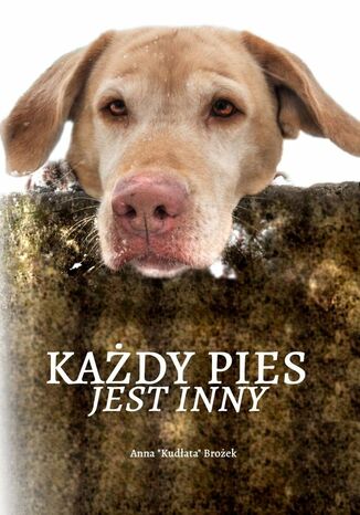 Każdy Pies jest inny Anna Brożek - okladka książki