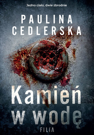 Kamień w wodę Paulina Cedlerska - okladka książki