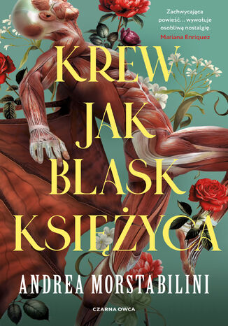 Krew jak blask księżyca Andrea Morstabilini - okladka książki