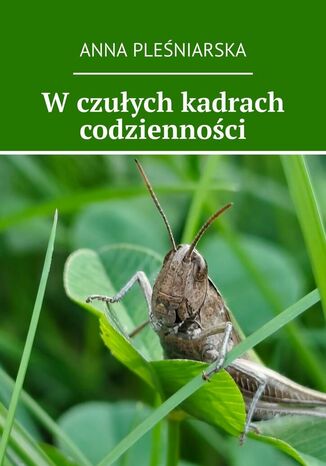 W czułych kadrach codzienności Anna Pleśniarska - okladka książki