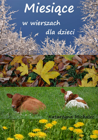 Miesiące w wierszach dla dzieci Katarzyna Michalec - okladka książki