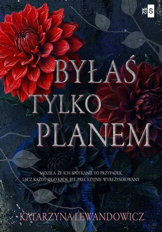 Byłaś tylko planem Katarzyna Lewandowicz - okladka książki