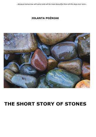 The short story of stones Jolanta Poźniak - okladka książki