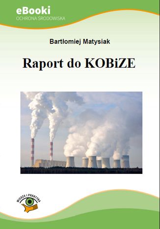 Raport do KOBiZE Bartłomiej Matysiak - okladka książki