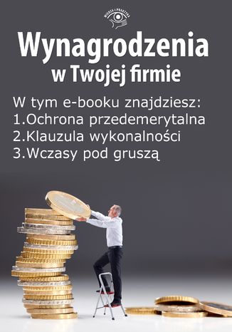 Wynagrodzenia w Twojej firmie, wydanie lipiec 2014 r. część I Teresa Goździewicz, Bogdan Majkowski,  Sławomir Liżewski, Tomasz Król - okladka książki