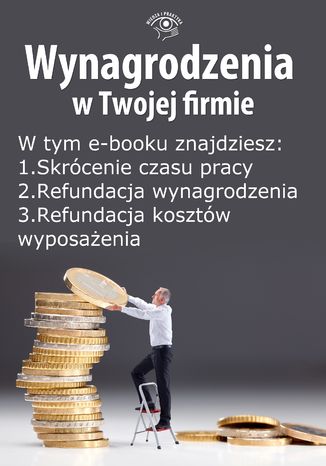 Wynagrodzenia w Twojej firmie, wydanie lipiec 2014 r. część II Teresa Goździewicz, Bogdan Majkowski,  Sławomir Liżewski, Tomasz Król - okladka książki