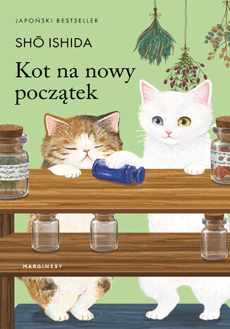 Kot na nowy początek Sh Ishida - okladka książki