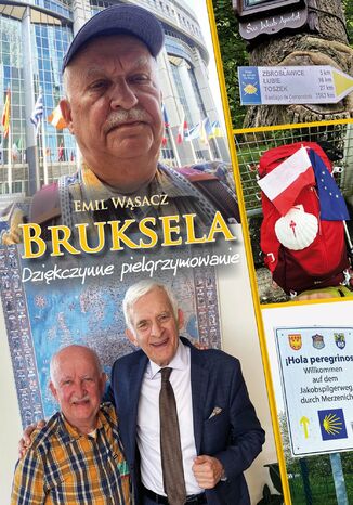 Bruksela. Dziękczynne pielgrzymowanie Emil Wąsacz - okladka książki