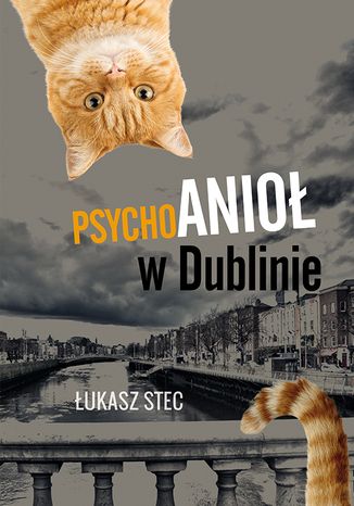 Psychoanioł w Dublinie Łukasz Stec - okladka książki