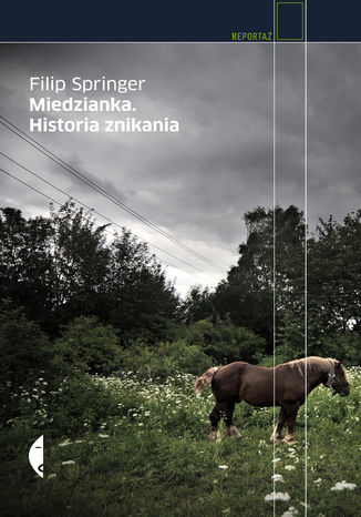 Miedzianka. Historia znikania Filip Springer - okladka książki
