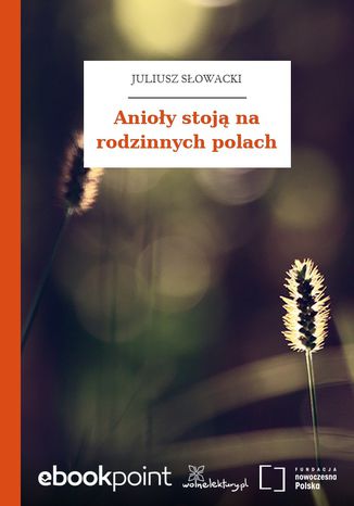 Anioły stoją na rodzinnych polach Juliusz Słowacki - okladka książki